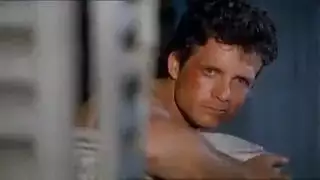 مثليه البرازيلي أسد امريكي الإيطالي